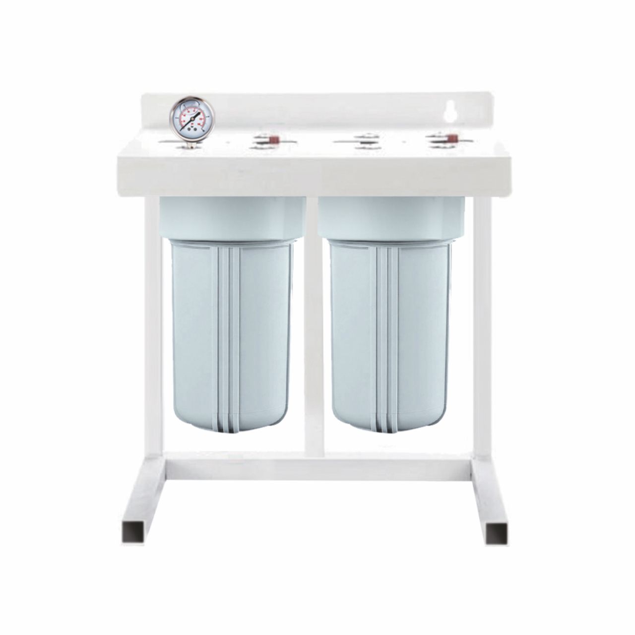 Dual main line water filter EVF-10M/2