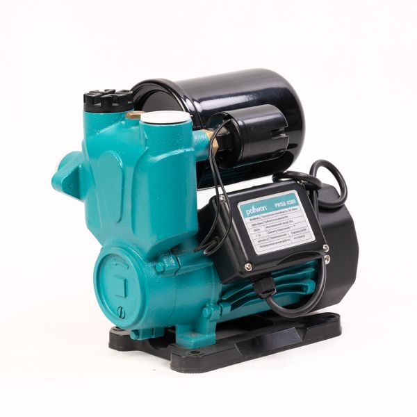 Насос водяной автоматический Pollwon (PW156-A300, (300 Вт))
