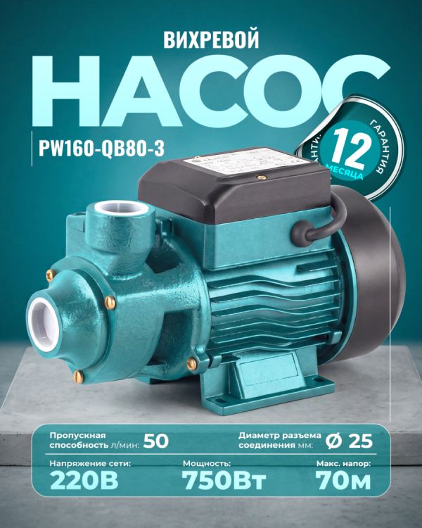 Вихревой насос PW160-QB80-3 (750Вт)