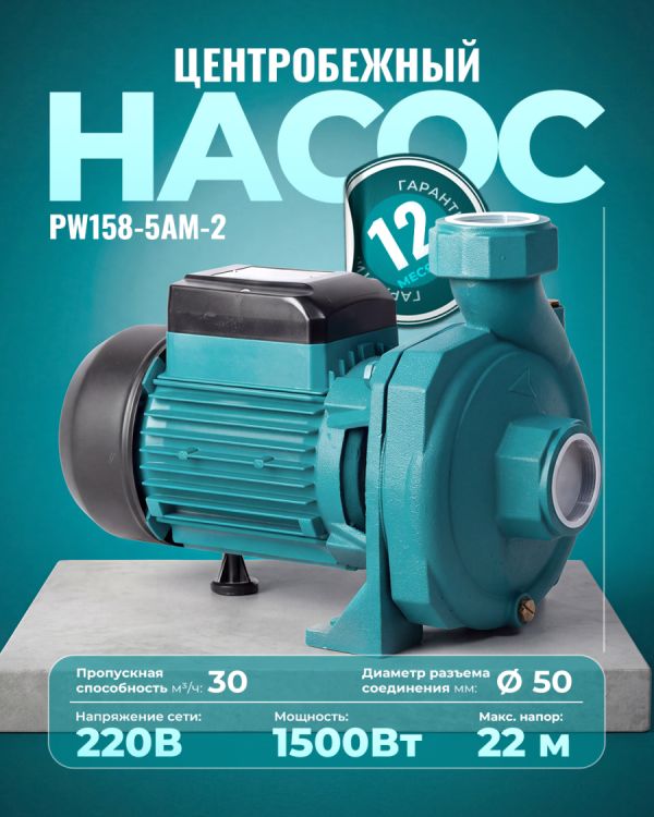 Центробежный насос PW158-5AM-2 (1500Вт)