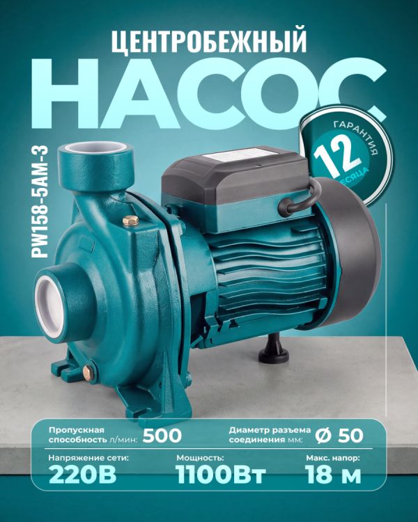 Центробежный насос PW158-5AM-3 (1100Вт)