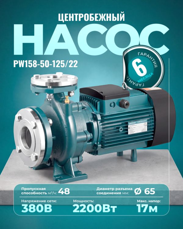 Центробежный насос PW158-50-125/22 (2200Вт)