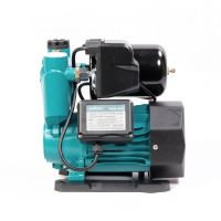 Насос водяной автоматический Pollwon (PW156-A600, (600 Вт))