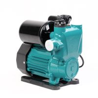 Насос водяной автоматический Pollwon (PW156-A800, (800 Вт))