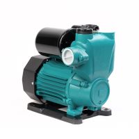 Насос водяной автоматический Pollwon (PW156-A1100, (1100 Вт))