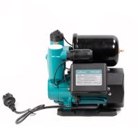 Насос водяной автоматический (PW156-A400-2 (400 Вт))