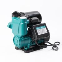 Насос водяной автоматический (PW156-A200-2 (200 Вт))