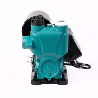 Насос водяной автоматический (PW156-A200-2 (200 Вт))