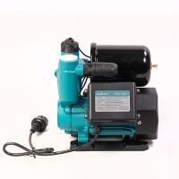 Насос водяной автоматический (PW156-A600-2 (600 Вт))