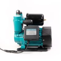 Насос водяной автоматический  (PW156-A1100-2(1100 Вт))