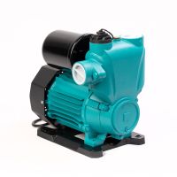 Насос водяной автоматический  (PW156-A1100-2(1100 Вт))